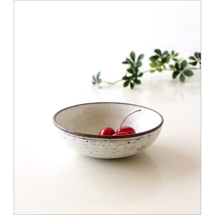 Kohiki Shallow Ceramic Japanese Bowl Plate Seto-yaki Mid-Size Multi-Use Porcelain Bowl Made in Japan