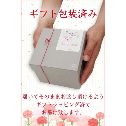Seto-Yaki Light Gray Porcelain Mug – Japanese Coffee Cup, Gift-Boxed & Wrapped (Mother's Day Gift)