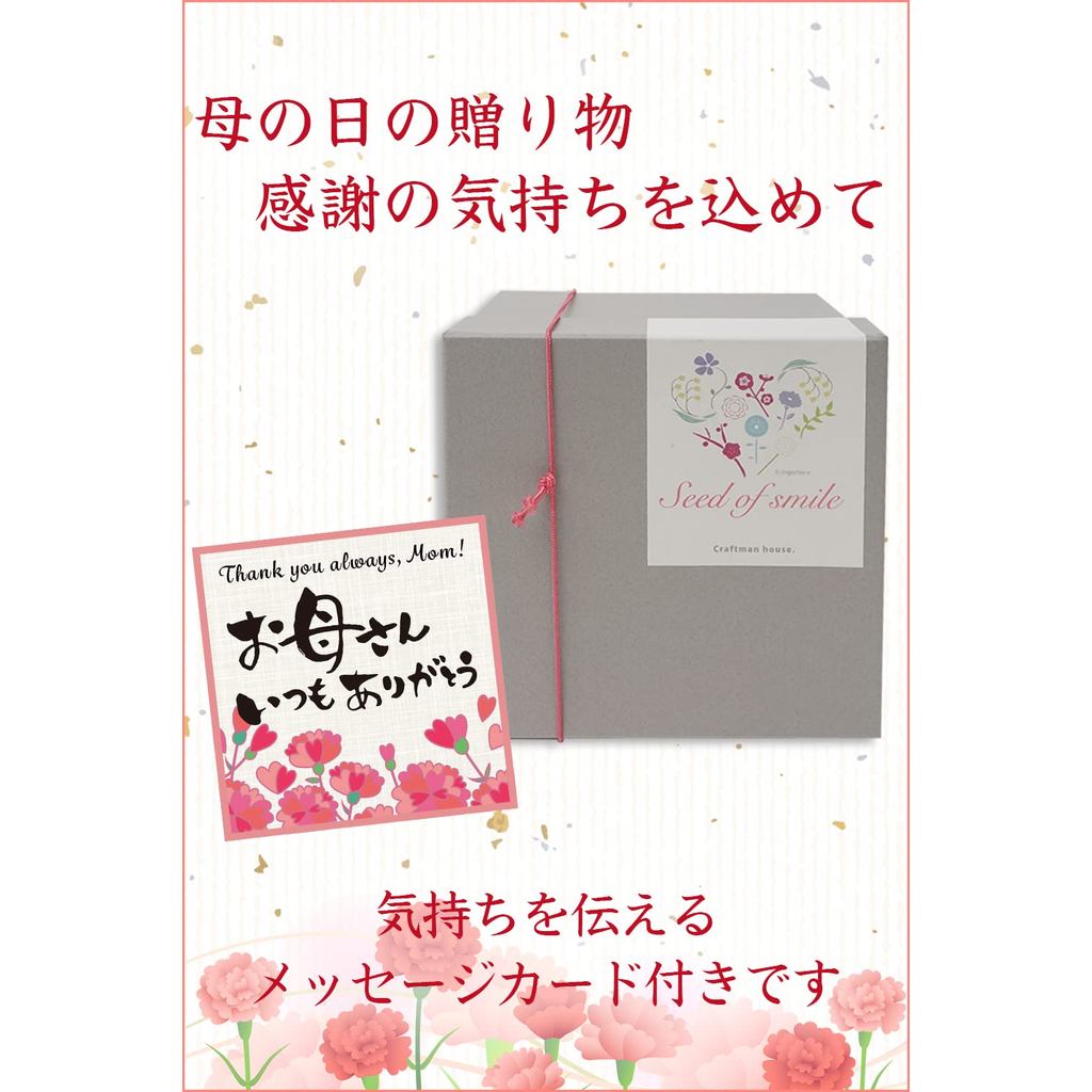 Seto-Yaki Light Gray Porcelain Mug – Japanese Coffee Cup, Gift-Boxed & Wrapped (Mother's Day Gift)