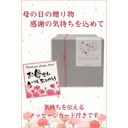 Seto-Yaki Light Gray Porcelain Mug – Japanese Coffee Cup, Gift-Boxed & Wrapped (Mother's Day Gift)