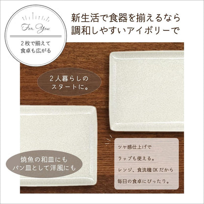 Aito "Natural Color" Mino Ware Rectangular Serving Plate 21 x 13 cm – Microwave & Dishwasher Safe, Made in Japan