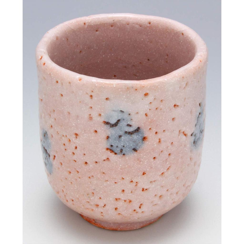 Ryoji Hayashi Mino Ware Ceramic Yunomi Tea Cup 170ml Made in Japan