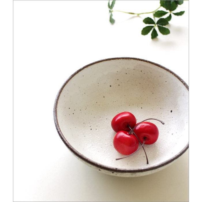 Kohiki Shallow Ceramic Japanese Bowl Plate Seto-yaki Mid-Size Multi-Use Porcelain Bowl Made in Japan