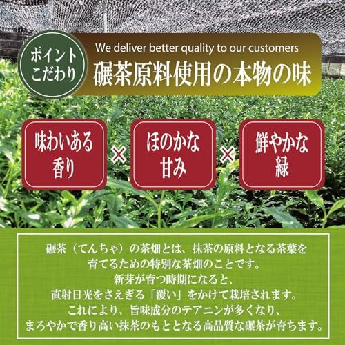 [SUNPUDO TEA SHOP] Uji Matcha | Premium Japanese Matcha Powder with Resealable Bag for Tea Ceremony, Cooking, Beauty, and Health - Uji Tea (1 Pack, 45g)