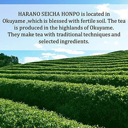 Ohara Seicha Honpo Adult Konpeito Matcha 30g - Cute Japanese Sugar Candy from Okuyame, Perfectly Sweetened Delight