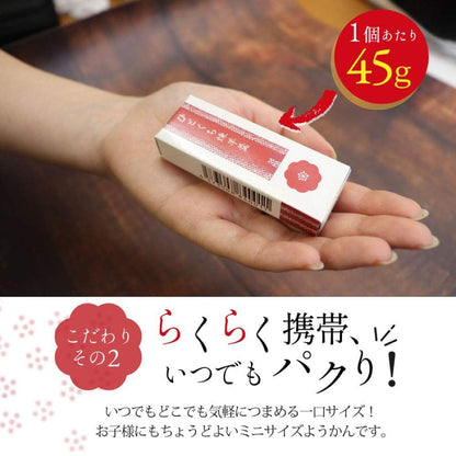 Gift Set of Traditional Japanese Yokan - Assorted Mini Yokan (45g x 3) featuring Smooth, Chestnut, and Sweet Red Bean Paste, from Surugaya Honke. Perfect for Treats and Gifts!chaware