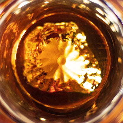 Authentic Tajima Glass Mt. Fuji Tumbler, Handmade in Japan, Coaster Included, Beer Sake Whisky Gift