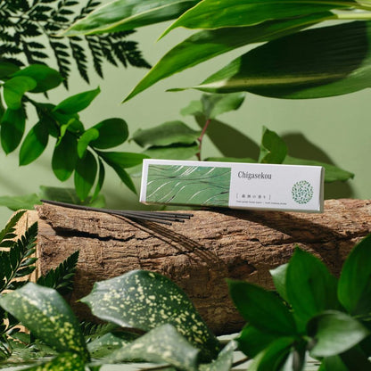Japanese Aromatherapy Incense Sticks – Natural Scents (Sandalwood, Osmanthus & Honey, Forest) – Made in Japan
