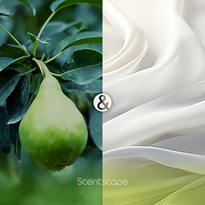 Scentscape Incense Sticks Pear & White Musk 30 Sticks - Nippon Kodo Japan, Made in Japan 38220