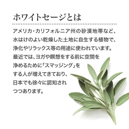 Kameyama White Sage Purifying Incense Sticks 70g (~170 pcs) - Cleansing, Relaxing Aromatherapy