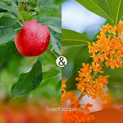 Scentscape Apple & Osmanthus Incense Sticks 30pcs by Nippon Kodo - Japanese Made Fragrant Incense