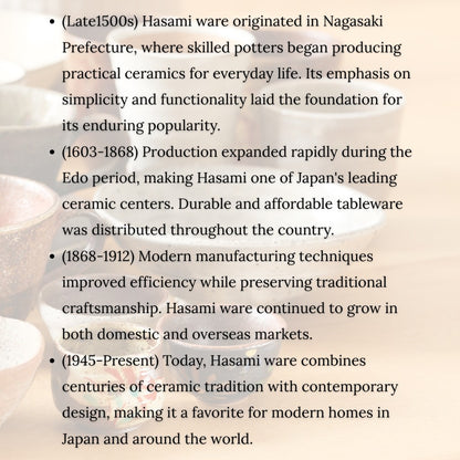 Hamato Hasami Ware Lightweight Teapot 300ml White Hand-Painted Sakura with Super Mesh Tea Strainer Made in Japan
