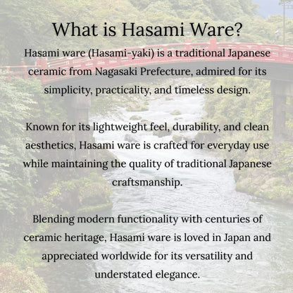 Hamato Hasami Ware Lightweight Teapot 300ml White Hand-Painted Sakura with Super Mesh Tea Strainer Made in Japan