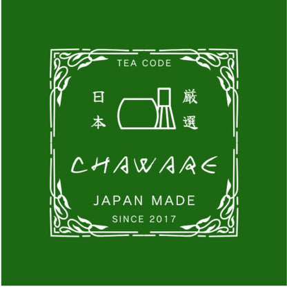 Hamato Hasami Ware Lightweight Teapot 300ml White Hand-Painted Sakura with Super Mesh Tea Strainer Made in Japan
