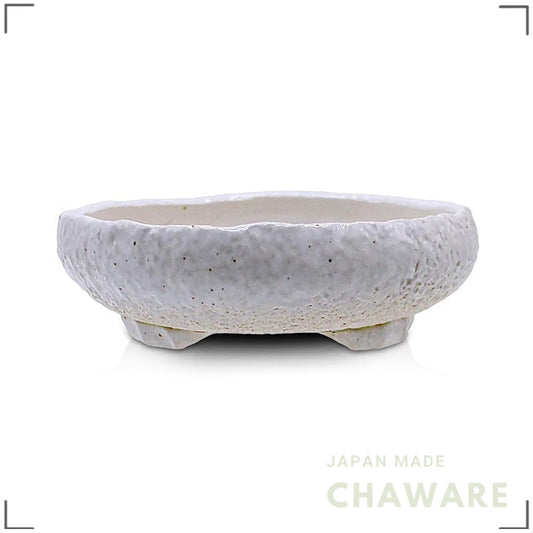 Umekichi Bonsai Supplies Iron Bonsai Pot, Yokkaichi Banko Ware, Ei Kiln, White, 4in/12cm