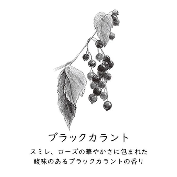GRASSE TOKYO Paper Incense Blackcurrant - Japanese Made Slide Tin Set, Stylish Incense Gift