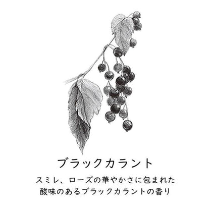 GRASSE TOKYO Paper Incense Blackcurrant - Japanese Made Slide Tin Set, Stylish Incense Gift