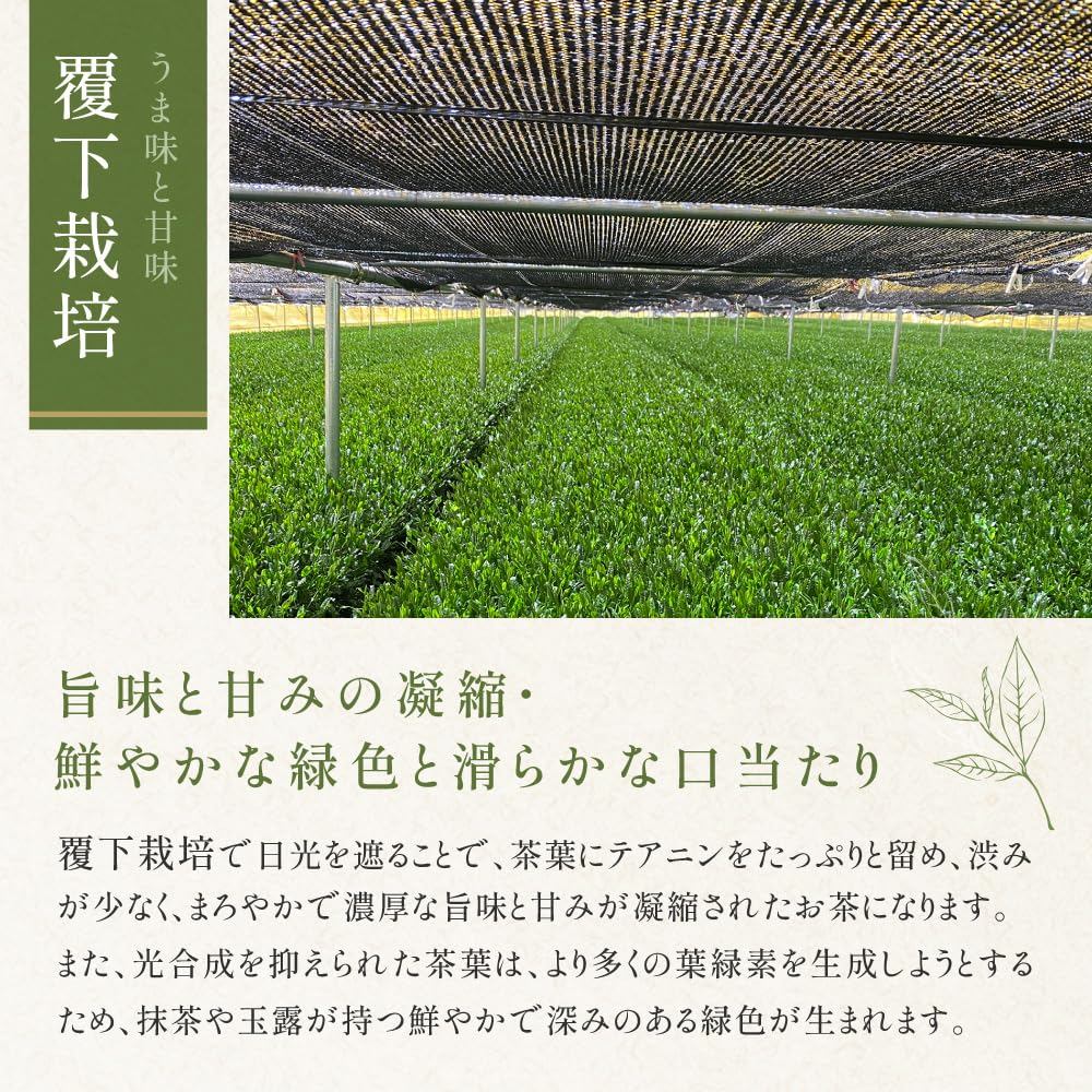 KATSUHIKO Organic Uji Matcha 30g - Premium Ceremony Grade Single Origin, Rare, JAS Certified, Kagoshima. Traditional Japanese tea, additive-free, pesticide-free, perfect for gifts and tea ceremonies. Established in 1800 in Kyoto.