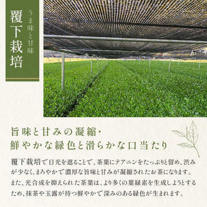 KATSUHIKO Organic Uji Matcha 30g - Premium Ceremony Grade Single Origin, Rare, JAS Certified, Kagoshima. Traditional Japanese tea, additive-free, pesticide-free, perfect for gifts and tea ceremonies. Established in 1800 in Kyoto.
