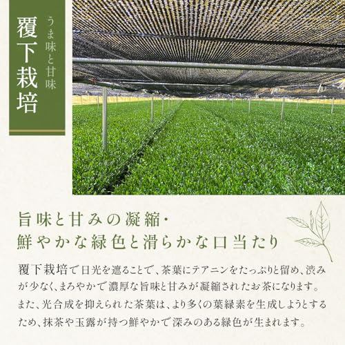 KATSUHIKO Premium Organic Uji Matcha 30g - 100% Kyoto Origin, Ceremony Grade, JAS Certified, Additive-Free, Pesticide-Free, Ideal for Gifts and Tea Ceremonies, Handpicked by Traditional Kyoto Tea Masters.