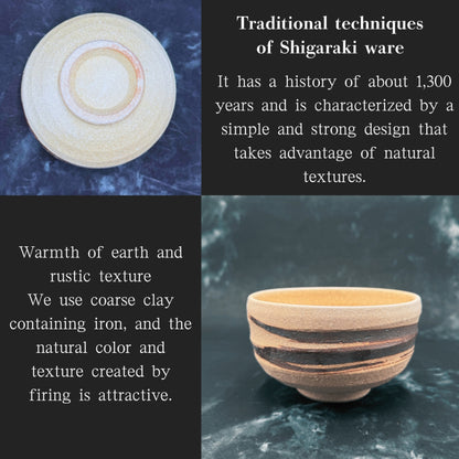 chaware Irabo Iron Brushmem Matcha Bowl (Shigaraki Ware) Made in Japan Pottery,matcha chawan