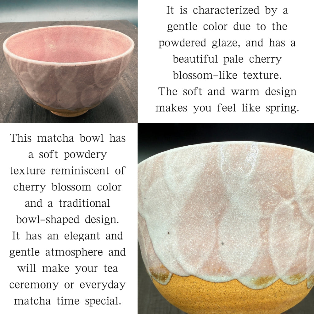 Cherry blossom powder matcha bowl, Mino ware (made in Japan) traditional crafts, matcha chawan