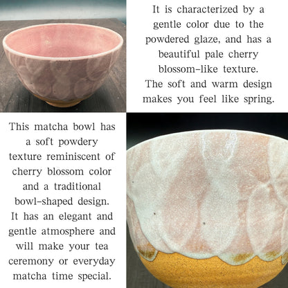 Cherry blossom powder matcha bowl, Mino ware (made in Japan) traditional crafts, matcha chawan