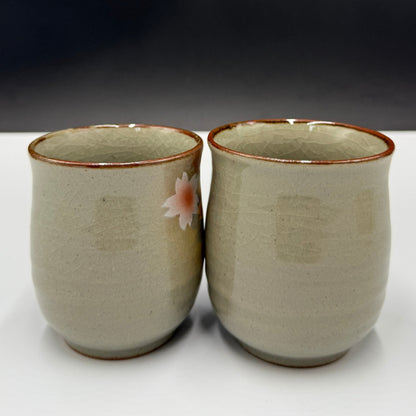 Japanese traditional craft [Kutani ware] set teacup sunlight flower pattern tea bowl chawan