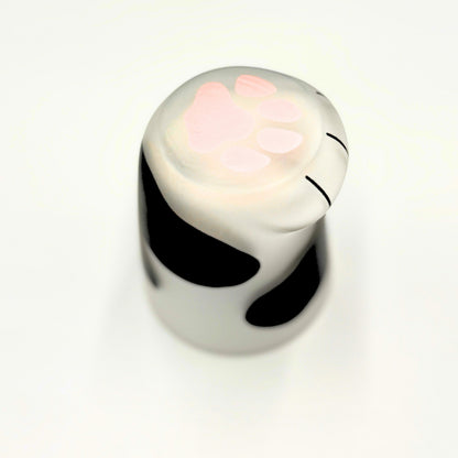 Made in Japan Glass Cup 300ml Coconeco Cup Kitten Cat Lover Cat Paw Parent and Child