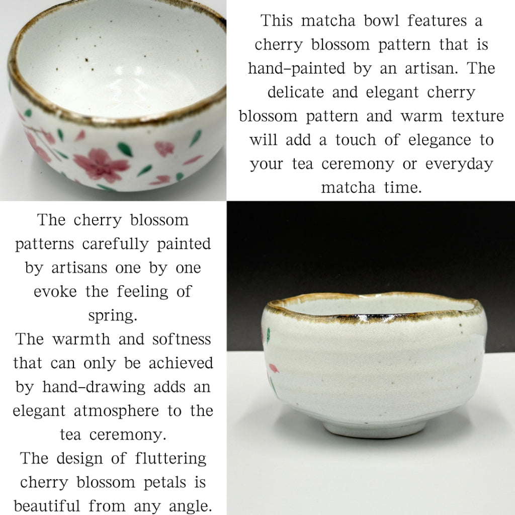 Japanese Minoyaki Matcha Bowl - Hand-Painted Sakura Design Handmade Tea Ceremony Chawan chaware