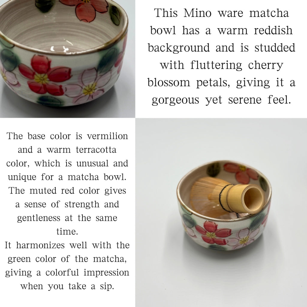 Cherry blossom matcha bowl, Mino ware (made in Japan)