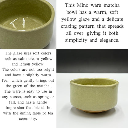 Yellow Crazy Matcha Bowl Mino Ware (Made in Japan)matcha chawan,chaware