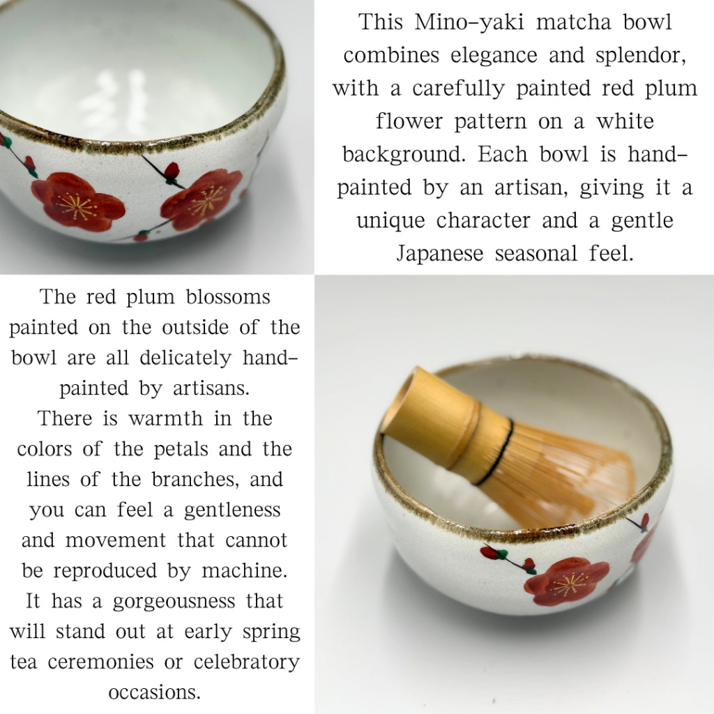 Red plum, hand-painted matcha bowl, Mino ware (made in Japan)chaware matcha chawan