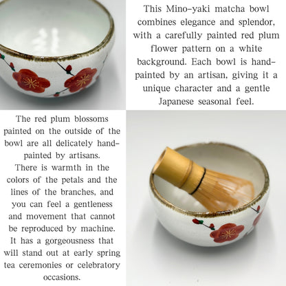 Red plum, hand-painted matcha bowl, Mino ware (made in Japan)chaware matcha chawan