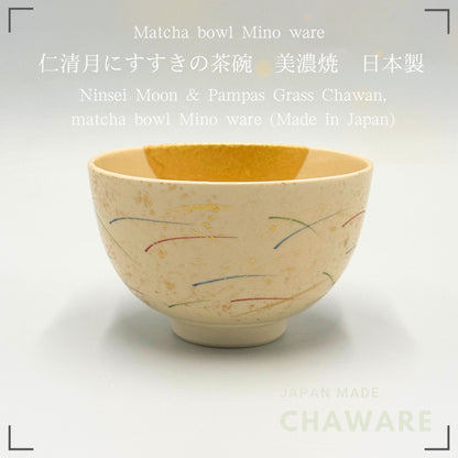 Japanese Matcha Bowl Mino Ware Ninsei Moon Susuki Tea Ceremony Chawan Ceramic 12.3cm