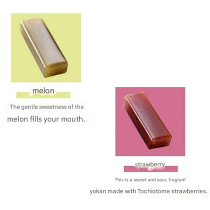 Gift Set of Traditional Japanese Sweets - Wagashi Including Yokan from Ginza Senbikiya, Delicately Crafted Fruit Yokan from Ginza Patisserie. Ideal for Treats!chaware