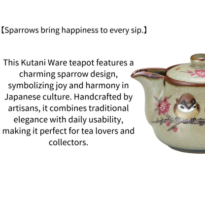 Kutani Ware Teapot Sparrow Kyusu Japanese Ceramic Pot Handmade Traditional Made in Japan
