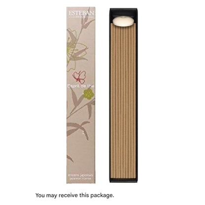 Esteban Esprit de Thé Stick - 40 Sticks with Incense Holder, Made in Japan