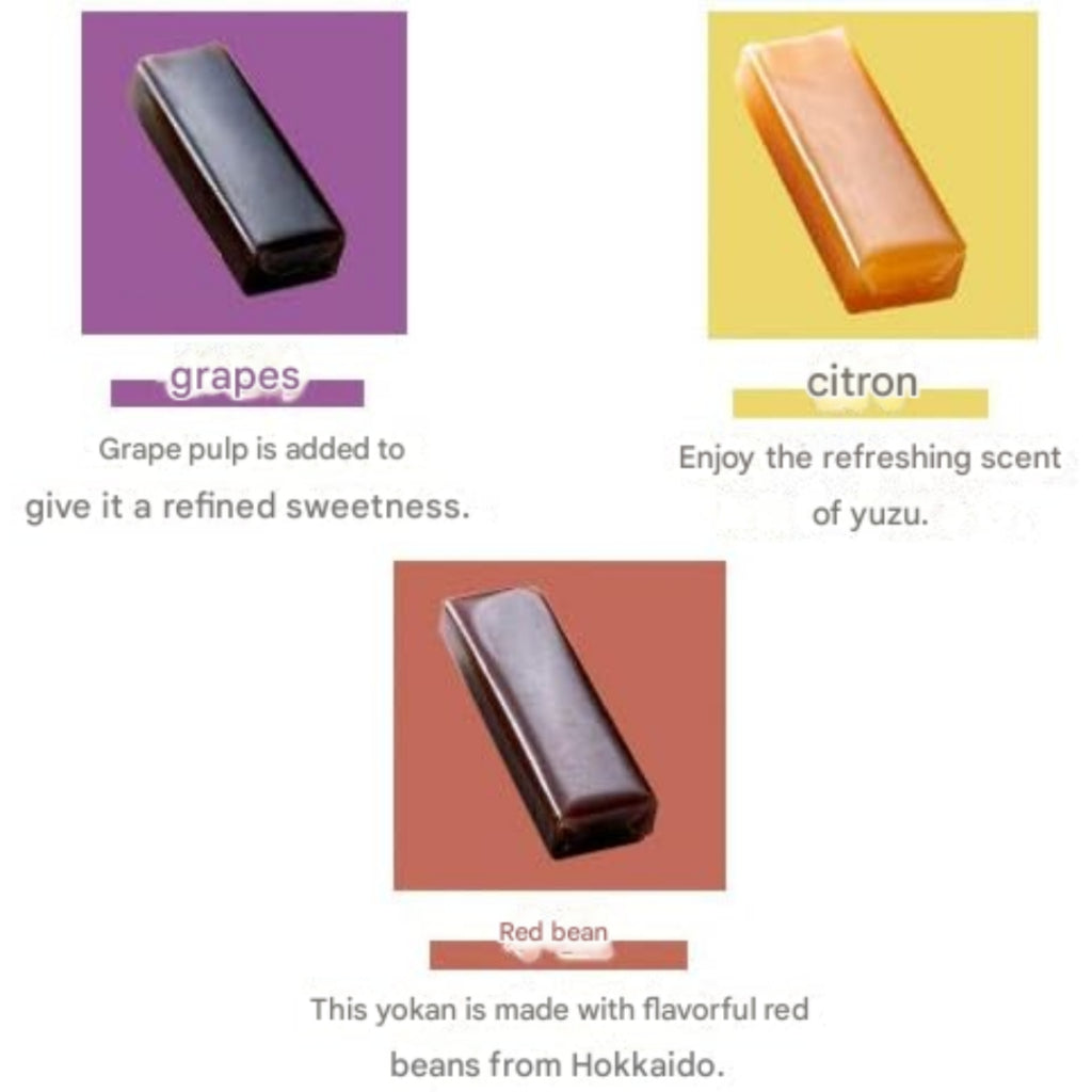 Gift Set of Traditional Japanese Sweets - Wagashi Including Yokan from Ginza Senbikiya, Delicately Crafted Fruit Yokan from Ginza Patisserie. Ideal for Treats!chaware