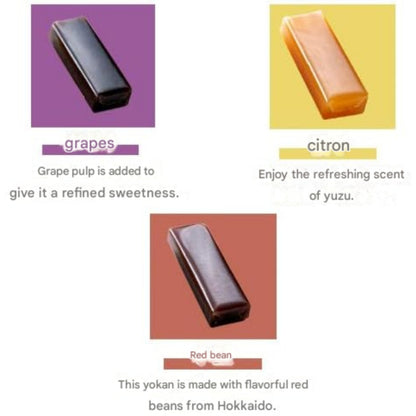 Gift Set of Traditional Japanese Sweets - Wagashi Including Yokan from Ginza Senbikiya, Delicately Crafted Fruit Yokan from Ginza Patisserie. Ideal for Treats!chaware