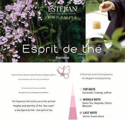 Esteban Esprit de Thé Stick - 40 Sticks with Incense Holder, Made in Japan