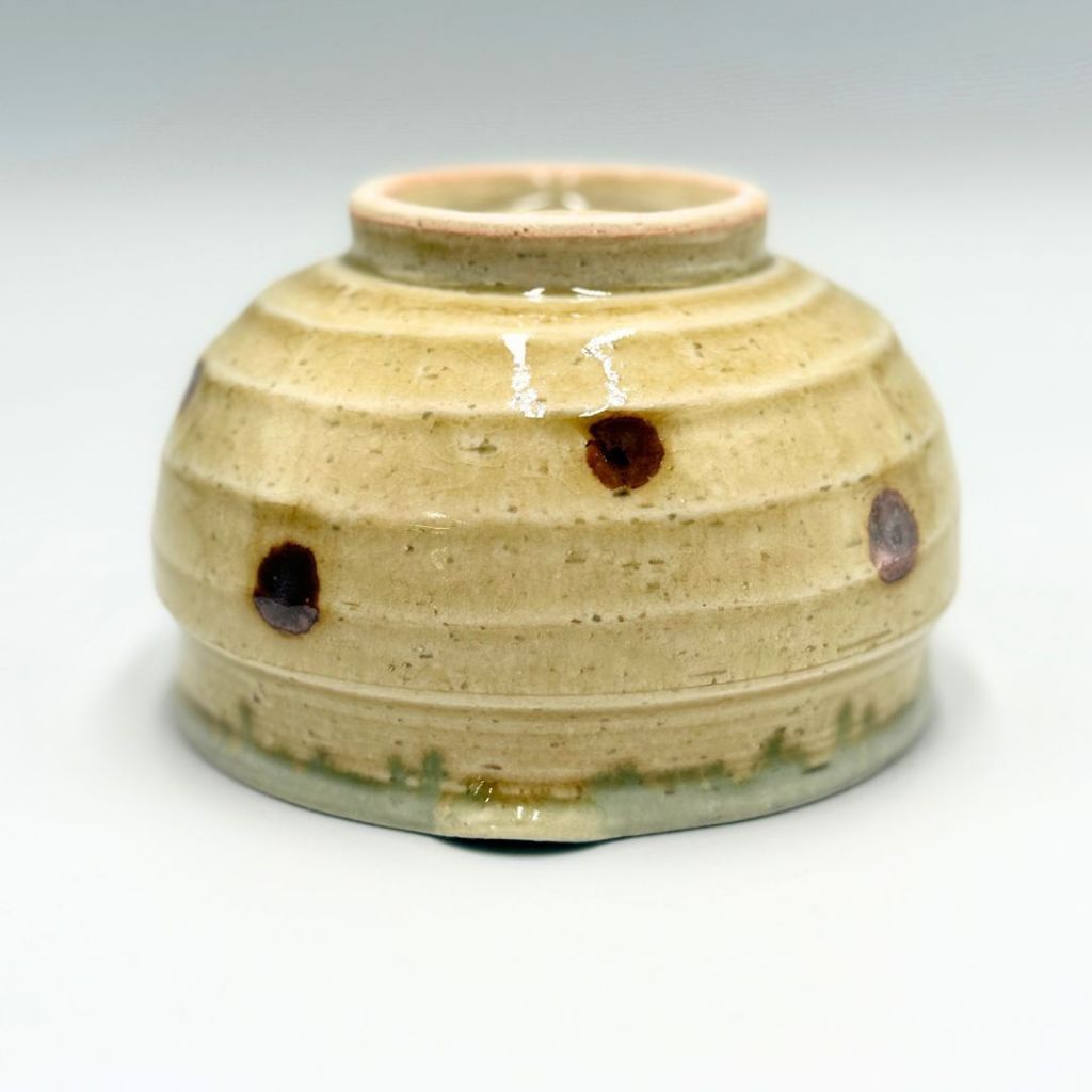 Japanese Mino Ware Matcha Bowl with Spout | Pouring Chawan for Matcha Latte | 570cc Ceramic