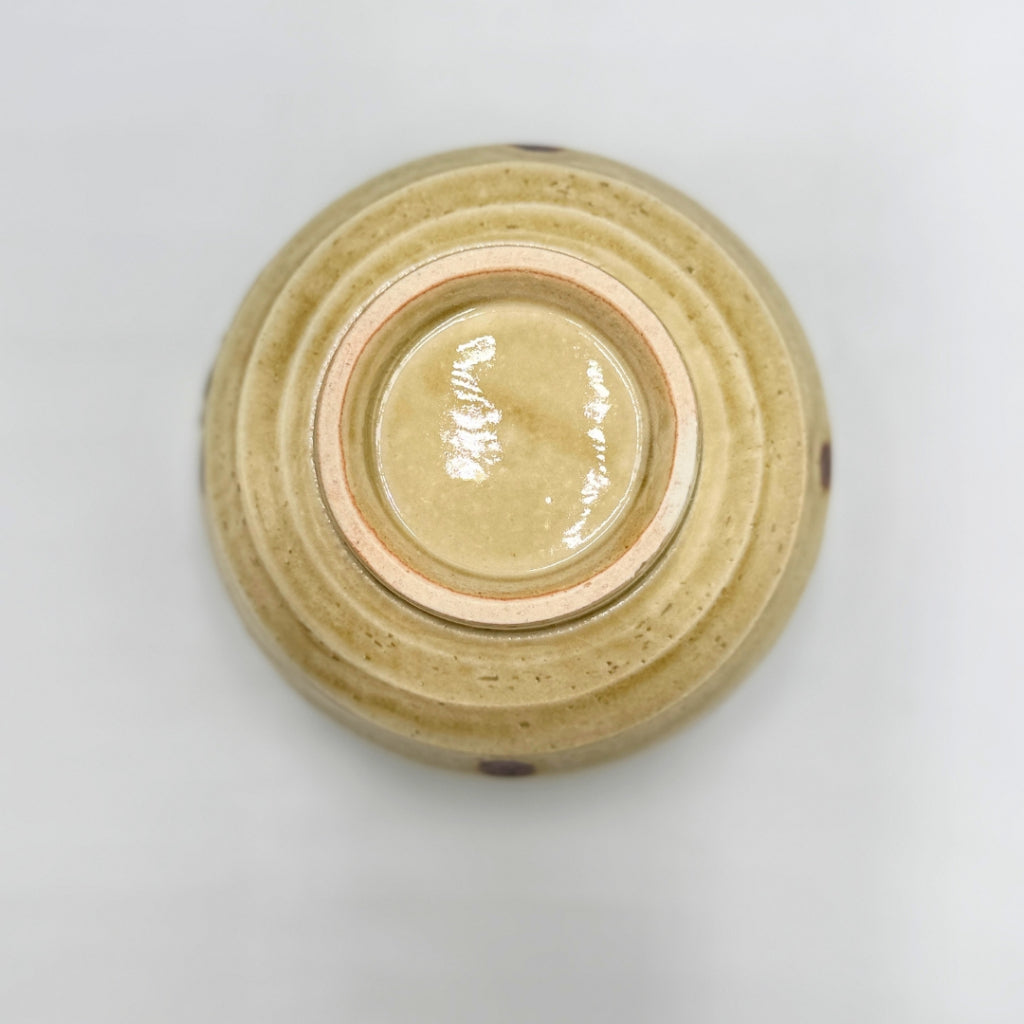 Japanese Mino Ware Shell Pattern Matcha Bowl Set | Chasen Whisk Chashaku Sifter Tea Ceremony Kit