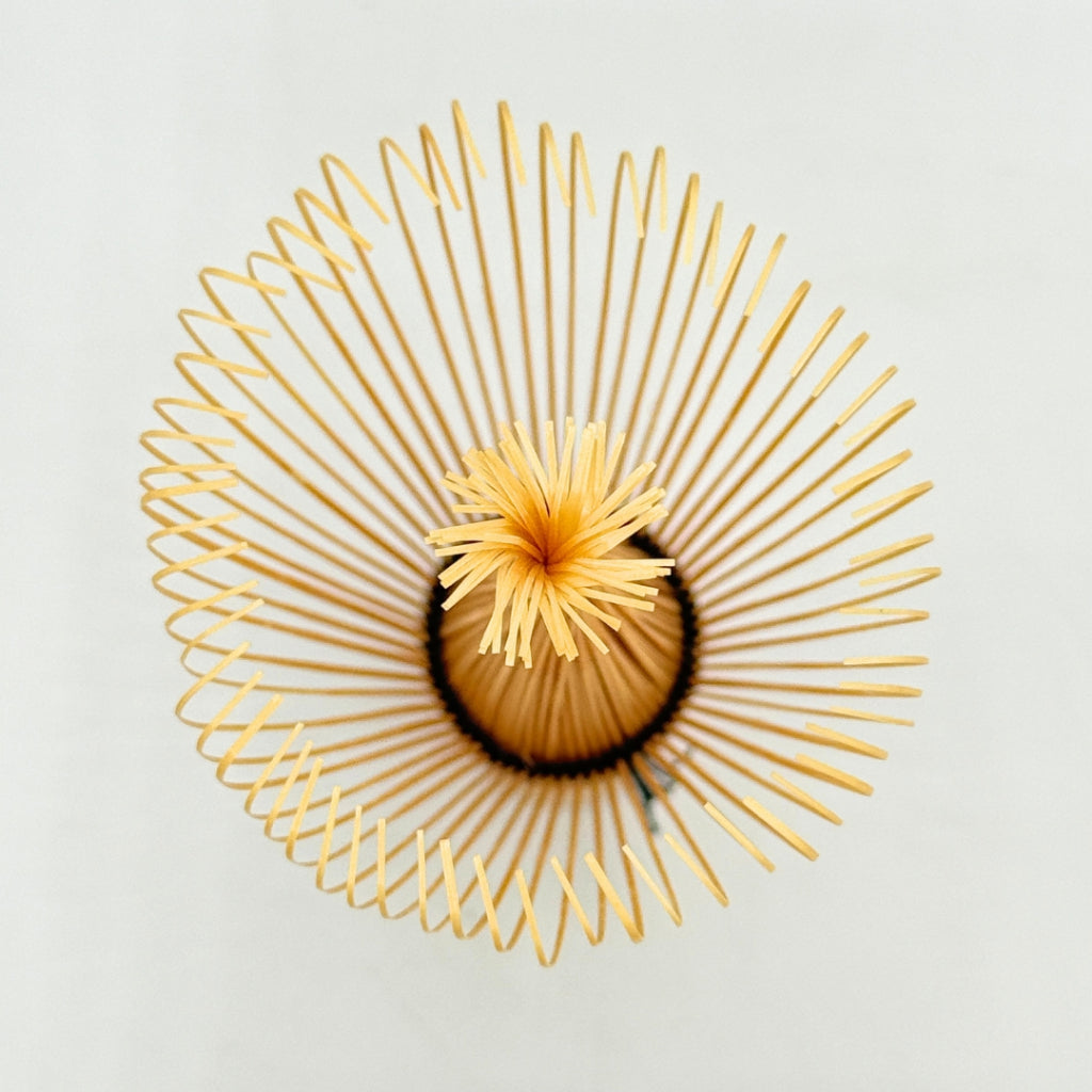 Nara Takayama Nakata Kisen Bamboo Chasen Matcha Whisk | Matsuo-ryu Japanese Handcrafted Tea Whisk